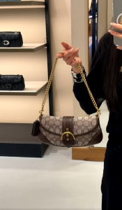 Origina bag COACH Soho Bag Retro Bag Underarm Chain Bag Cross Shoulder Womens Bag CAN43