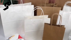 Kraft Paper Bag | Gift Bag | Party Bag | Goodie Bag | Christmas Bag
