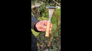 Melo home Scraping bark special knife Multi functional fruit tree skin scraping artifact Decay disease scraper