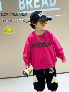 Fashionable Casual Sweatshirt for Boys Autumn New Arrival Kids Clothes Stylish Base Layer Shirt Trendy Baby Top