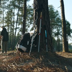 Trekking Pole Naturehike ST01 NH17D001-Z Aluminium Treking Pole Tongkat Gunung Tracking Hiking Trail