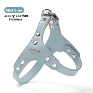 petlimit | Chest Harness Small Dog Leash