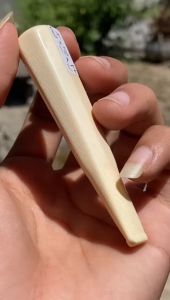 pipa gading asli lokal gg segilapan panjang 8cm mulus