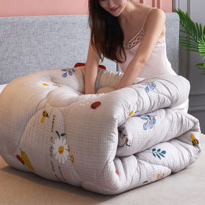 Thin Student Thick Warm All-Season Quilt