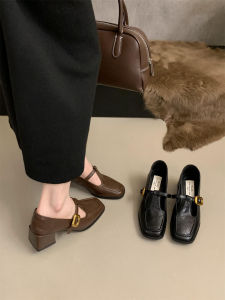 Pháp Vintage Đầu Vuông Gót Dày Nữ Mùa Xuân Mùa Thu Phong Cách Mới Cổ Tích Giày Cao Gót Mary Jane Nhỏ Da Giày