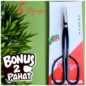 Alat Bonsai - Gunting Ranting dan Daun Gunting Pruning Ryuga Carbon RC 02