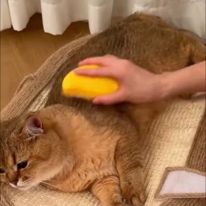 HATELI Cat Steam Brush Electric Spray Water Spray Kitten Pet Dog Comb Soft Silicone Depilation Cats Bath Hair Brush Grooming Supplies