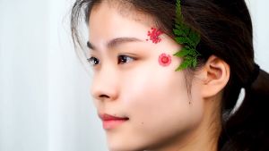 Bunga Kering & Dekorasi Rumah: Panduan Lengkap