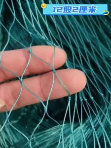 ตาข่ายกันนก 0.45X10cm เครือข่ายการสกัดกั้นการบุกรุก ตาข่ายโปลีเขียว ตาข่ายเพาะพันธุ์มัลติฟังก์ชั่น ตาข่ายล้อมไก่กรงไก่ ดางล้อมไก่