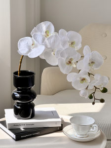 Vase Hydroponic Flower Niche Style Fancy Black Ins Style Accessible Luxury Glass Bottle Hallway TV Cabinet Living Room Decoration