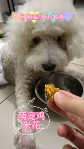 [PAWMILY] Premium Pet Snack Chicky Pop Bites Chicken Treats for Dogs & Cats Healthy Snacks 100% Fresh Home Made Pets Snack Human Grade