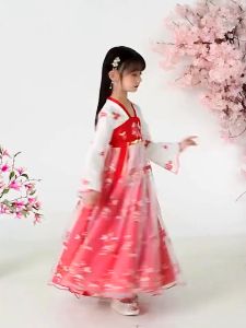 Chinese Hanfu Traditional Chinese Costumes For Kids Girl United Nation Day Full Set Chinese Dress