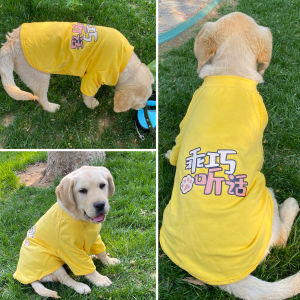 Dog Summer Clothes Medium Large Dog Thin T-shirt Golden Retriever Labrador Border Collie Spring & Fall Soft and Breathable