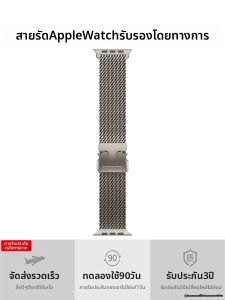 BIJIBITE | Titanium Milanese Watch Band