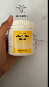 Vita B Plex Medion Vitamin Ternak Meningkatkan Nafsu Makan Domba