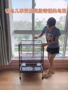 Local Ready Stock: Bird Cage, Budgerigar Cage, Large Starling Cardinal Bird Cage