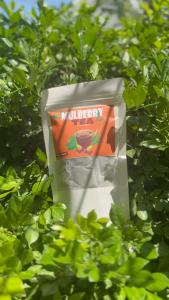 Mulberry Tea 20 teabags/pack