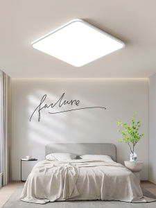 DGY | Modern Minimalist Thin Eye-protection Ceiling Light