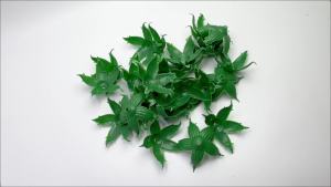 50pcs Artificial Floral Receptacle Fake Flowers Calyxes Plastic Flower Base Calyx Floral Sepals for Craft DIY Home Party Wedding