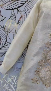 barong sport colar