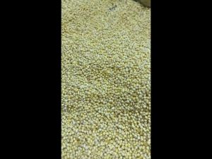 Sỉ Hạt Kê Vàng Tách Vỏ Shelled Millets Nấu Chè Nấu Xôi Cháo Cho Bé Ăn Dặm Hoàng Phương 5KG