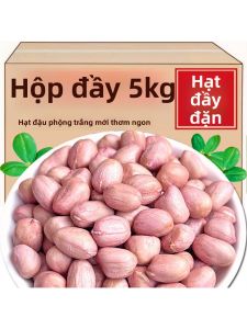 Fresh Selected Large Peanuts 5 JIN