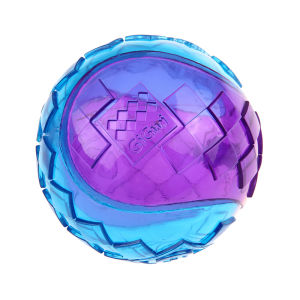 Durable Chewing Squeaky Pet Toy Ball