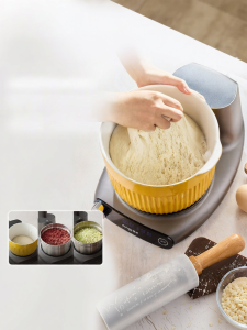 Donlim | Automatic Dough Making Meat Grinder For Home Use