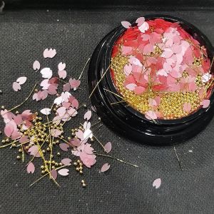 Internet Celebrity Nail Art Hot Sale Cherry Blossoms Paillette Ornament Petal Patch Ultra-Thin White Pink Nail Art Set Ornament