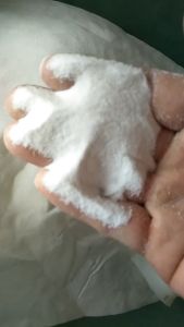 Pasir Wangi Buat Mandi Hamster 500 gr Bathing Sand Pet Bathing Aksesori Hewan Peliharaan