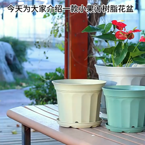 กระถางต้นไม้พลาสติกสีขาว กระถางต้นไม้ มีรูระบายน้ำ การระบายอากาศที่ราก พร้อมถาดรองกระถาง กระถางมินิมอล หนาและทนทาน