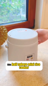 Mini Rice Cooker 1.2L Portable Electric Non-Stick Pot | Small Rice Cooker for 1-2 People