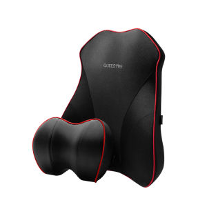 QUEES | Protective Lumbar Support Cushion
