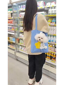 Túi tote đựng chó mèo đi dạo phố - T3 PETS SHOP