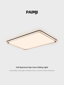 PAIMIJI | Luxurious Large LED Ceiling Light