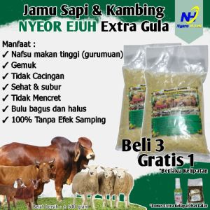 JAMU SAPI DAN KAMBING NYEOR EJUH EXTRA GULA PENGGEMUK SAPI PENGGEMUK KAMBING PENAMBAH NAFSU MAKAN
