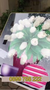 Tranh tráng gương- tranh treo tường hoa lá nghẹ thuậttrang trí tường trống trang nhãtự nhiên