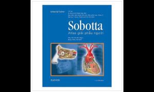 Sách - Sobotta Atlas Giải Phẫu Người