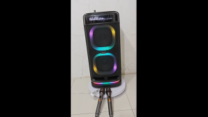 Bts.Shop BTS-2120 Portable Bass Speaker karaoke Wireless Outdoor Speaker with Lyric display with 2 microphone