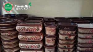 Pot Bonsai Keramik Segi Empat Persegi Panjang Kecil Mame Mini no Semen - polos - Lazada