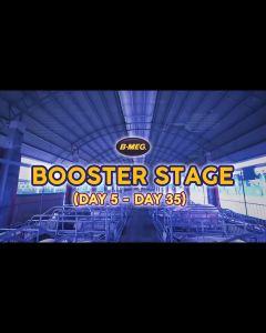 1 kg B-Meg Booster Milk B-meg Super Biik Booster+Milk Formula 1kg for PIGLETS booster feeds super biik booster