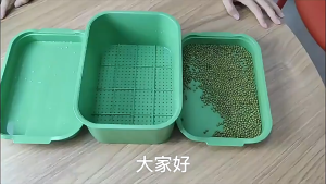 Dụng cụ làm vườn khay nảy mầm cây chậu trồng đặc biệt để nảy mầm gia đình mầm đậu nành mầm đậu xanh trồng trọt không cần đất dụng cụ làm vườn
