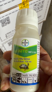Infinito 687.5 SC Bayer – Thuốc trừ bệnh đặc trị sương mai mốc sương nội hấp mạnh bảo vệ cây trồng hiệu quả