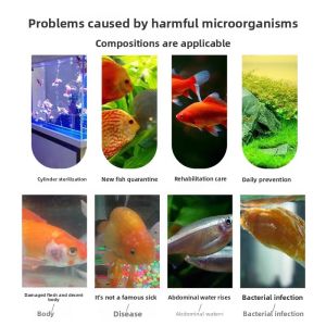 MONLEYTA | Fish Disease Treatment for Fin Rot Tail Rot Water Mold and Blindness