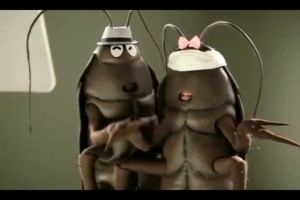 บ้านแมลงสาบและดักจิ้งจก 10ชิ้น/กล่อง บ้านแมลงสาบ ดักแมลงสาบ แมลงสาบ กลัว XPH411