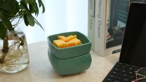 2-in 1 Luxurious Wax Melter Electric Candle Warmer Electric Candle Warmer for Melts Wax Melter