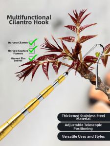 DELIXI | Extendable Fruit and Flower Picking Tool