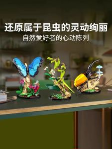 Chinese Building Blocks Creative Series 21342 Insect Butterfly Model Kids Educational Assembled Toys Gifts for Boys and Girls