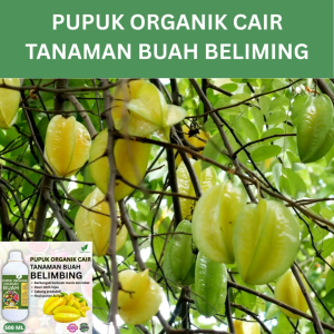 Pupuk Buah Belimbing 500 ML /Pupuk Booster Belimbing Cepat Berbuah Lebat/Pupuk Cair Belimbing