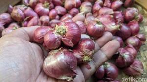 Bawang Merah Super Dan Murah Hasil Petani Brebes Asli 1kg